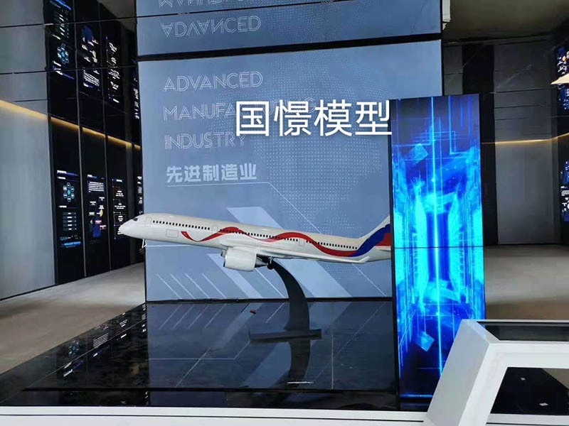 铁岭县飞机模型